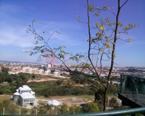 Imagem 4 de 4 de Dois Terreno Com 125 M² Cada Com Uma Excelente Localização No Jardim Dois Corações - Sorocaba - Sp - 1971 - 69388287