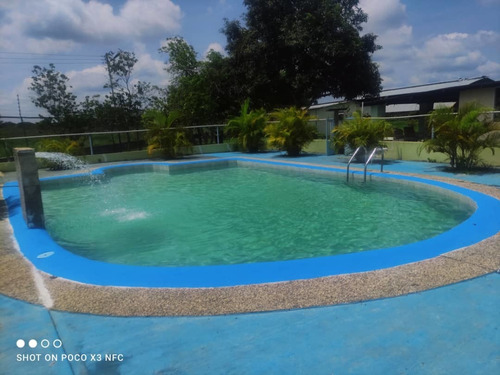Imagen 7 de 17 de Niurka Paraguán 0414/8321738 Vende Hermosa Finca En Achaguas -apure