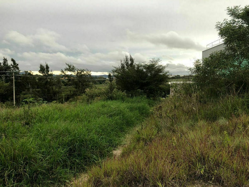 Terreno En Renta En Comitan