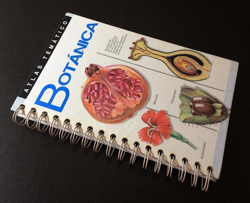 Botánica Atlas Temático Ilustrado Idea Book Plantas Flores