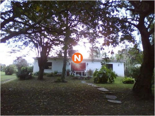 Imagen 3 de 17 de Chacra En Venta Los Robles - Maldonado Ruta 39
