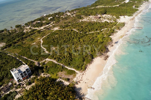 Imagen 2 de 22 de Terreno Con Hermosa Playa Para Desarrolladores En Isla Blanca Cancún C2509