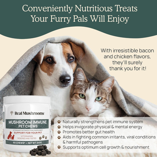 Real Mushrooms Immune Pets Refuerzo Inmunológico 60 Chews