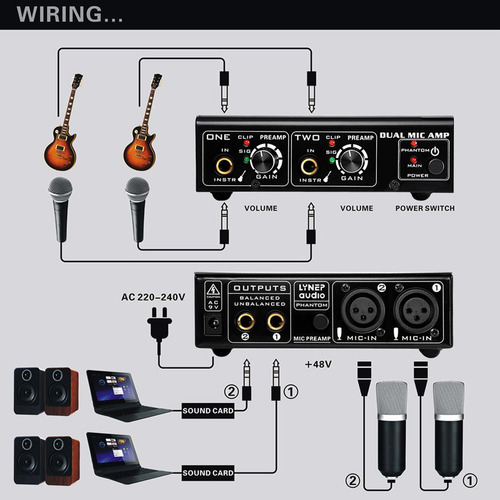 Para Preamplificador De Micrófono Digital De Potencia 2