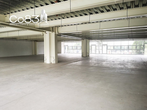 Renta - Local - Calzada De Los Jinetes - 382 M2 -piso 2