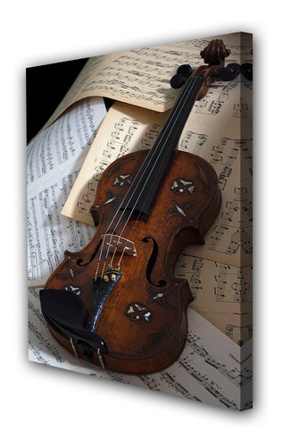 Cuadro 60x90cm Violin Musica Instrumento M4