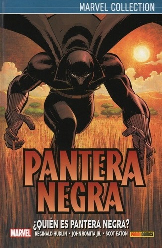 Pantera Negra De Hudkin 1: ¿quien Es Pantera Negra? - Regina