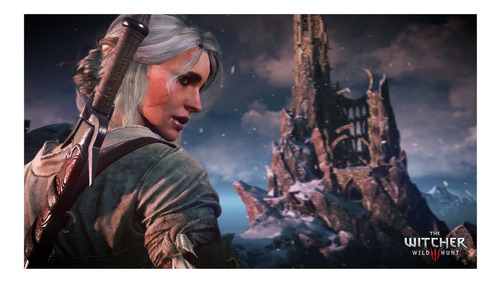 The Witcher 3 Wild Hunt Complete Edition Nintendo Switch (Usado)