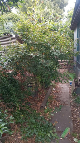 ¡oportunidad En Concepción: Casa Amplia Y Bien Ubicada!