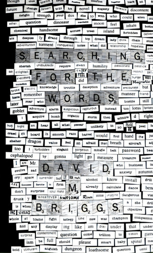 Searching For The Words: Magnet Poems, De Briggs, David M.. Editorial Lulu Pr, Tapa Blanda En Inglés