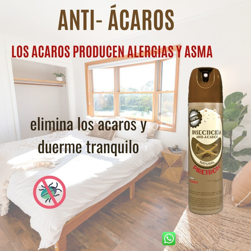 Insecticida Aerosol Para Huevos Y Chinches De Cama