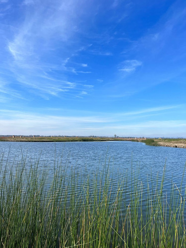 Terreno Campo  En Venta En Amarras, Puertos, Escobar