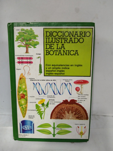 Diccionario Ilustrado De Botanica