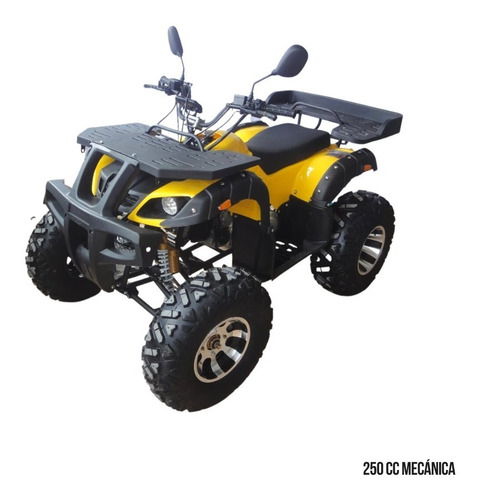 Imagen 2 de 15 de Cuatrimoto 250 Cc Aro 10 Bencinera