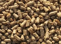 Comprar 20 Kilos Pellets Alimento Cerdos Minipigs Vietnamita Balance