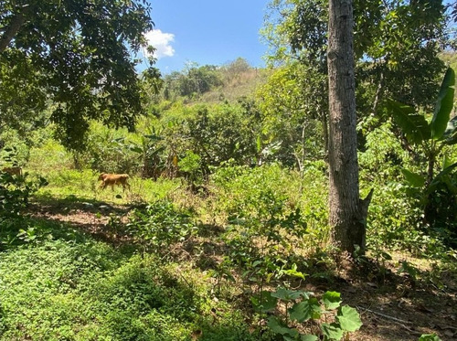 En Venta Finca Ideal Para Ganadería, Cría De Caballos Entre Otras Actividades.
