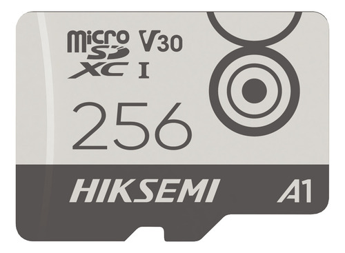 Memoria Microsd Clase 10 256 Gb / Para Videovigilancia 24/7