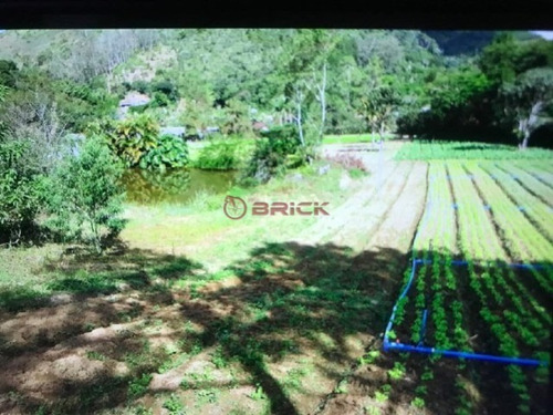 Imagem 9 de 9 de Sítio Com 54 Mil M² Em Vargem Grande, Teresópolis/rj. - St00211 - 69918534