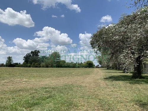Imagen 4 de 13 de Terreno En Venta En Club De Campo La Ranita