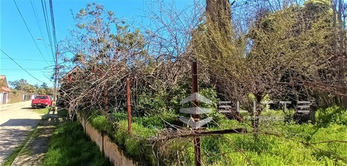 Imagen 8 de 28 de Sitio En Venta En Olmué