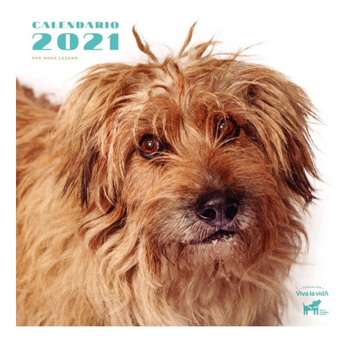 ¡promo! Calendario 2021 De Fundación Viva La Vida X 2