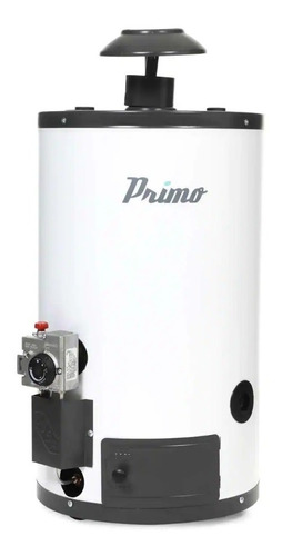 Boiler Automatico Iusa De 40 Lts Primo