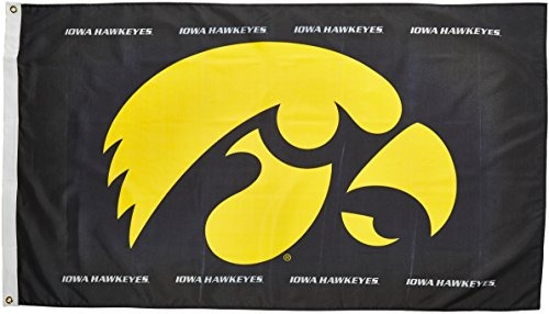 Ncaa Iowa Hawkeyes 3-por-5 Logotipo De La Bandera Del Pie Ha