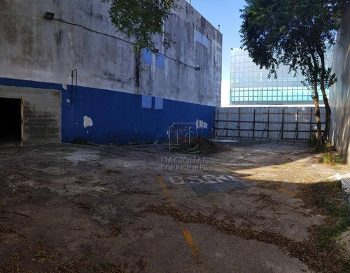 Imagem 4 de 20 de Terreno Para Alugar, 366 M² Por R$ 50.000/mês - Casa Branca - Santo André/sp - Te1025