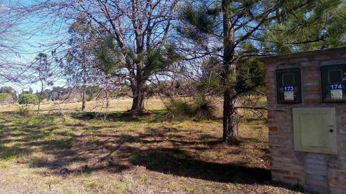 Imagen 17 de 18 de Lote En Venta En Pilar (country Con Golf)