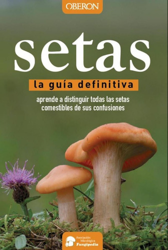 Libro: Setas, Guía Definitiva. Calvo Pérez, Aitor/calvo Pére