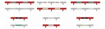Comprar Barreras De Choque Para Pista Scalextric 132 C8191