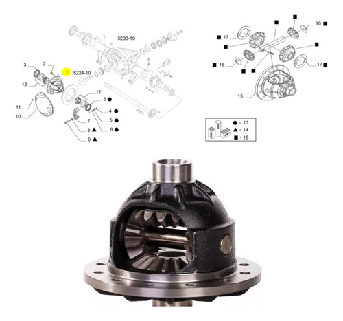 Cabeza De Eje De Direfencial Tector Iveco 500053947