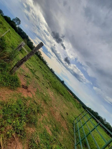 Imagem 11 de 14 de Sítio 25 Hectares - 0034