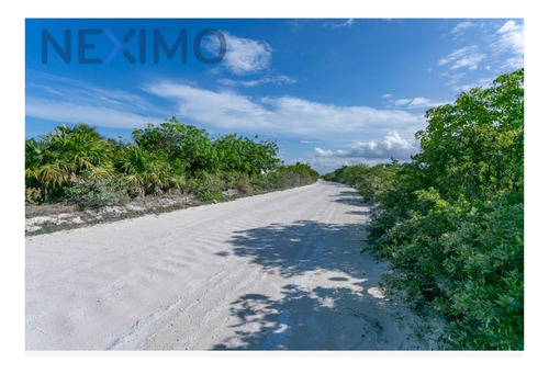 Imagen 10 de 20 de Terreno En Venta En Isla Blanca