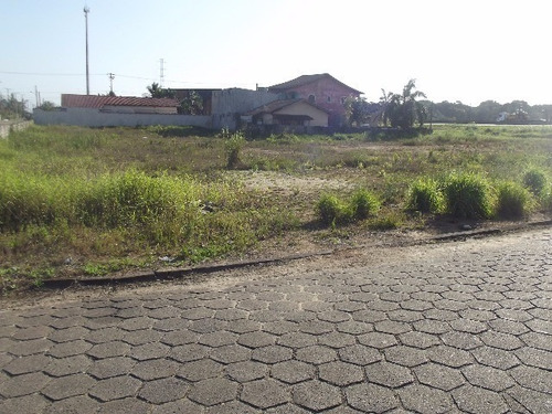 Imagem 25 de 29 de Terreno - Te00036 - 32363943