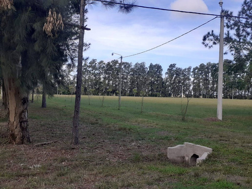 Imagen 6 de 15 de Terreno En Venta En Barrio El Chaqueño