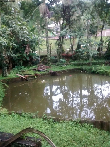 Imagem 24 de 25 de Chacara - Ch00212 - 2479763