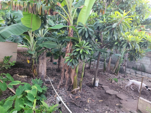 Imagen 30 de 30 de Vendo Casa Tipo Mejora En Villa Faro Con Solar De Casi 500 M2