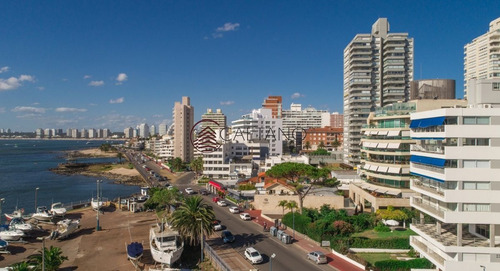 Imagen 2 de 15 de Puerto De Punta Del Este - Hermoso Apto Para Disfrutar - Punta Del Este Peninsula