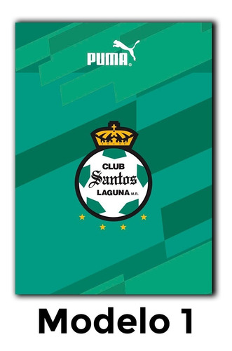 Cuadros Decorativos Futbol Liga Mx - Santos Laguna