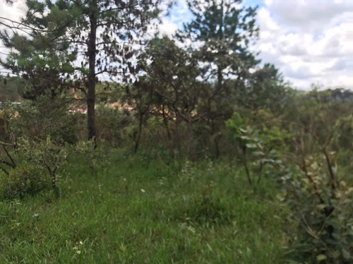 Imagem 12 de 30 de Chácaras Castelo Branco Km 68 Condomínio Vale Da Esperança Mairinque S-p
