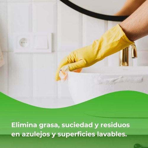 Cesco Desengrasante Multiusos Concentrado Biodegradable 1 Lt