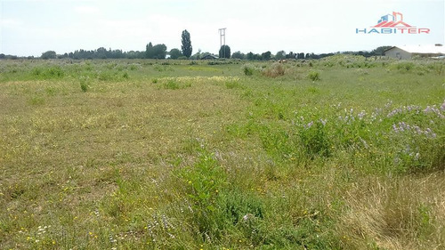 Imagen 12 de 30 de Agrícola En Venta En Linares
