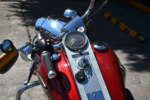 Imagen 8 de 15 de Impecable Harley Road King 1584cc Muy Llamativa 6 Vel.