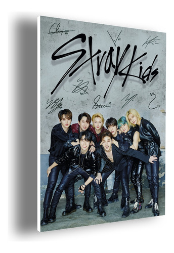 Cuadro Decorativo Stray Kids