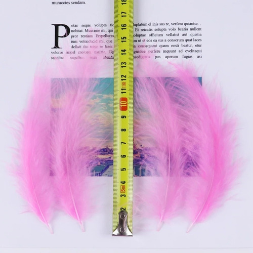Imagen 5 de 7 de Plumas De Colores Artificiales X200 Uds