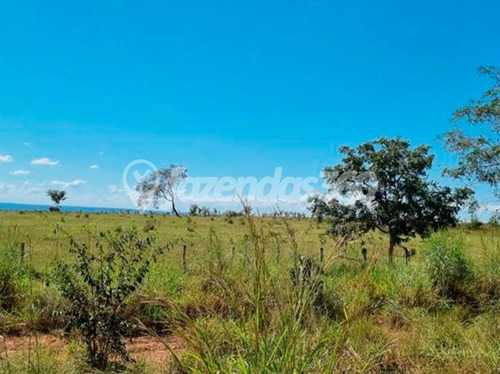 Imagem 1 de 11 de Rural Chacara Com 2 Quartos - 331-v