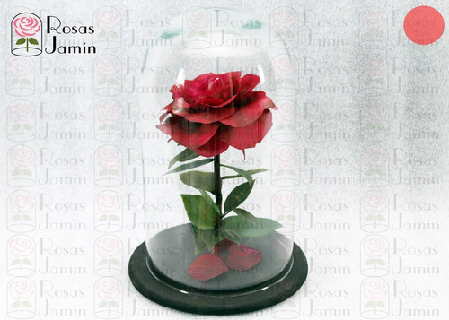 Rosa Eterna La Bella Y La Bestia Rosa Encantada Color Carmi | Envío gratis