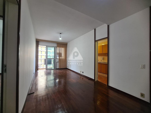Imagem 5 de 30 de Quarto Sala, 1 Vaga,na Rua Dona Maraiana - 44889
