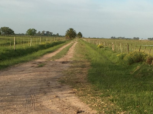 Imagen 1 de 23 de Campo En Venta En Lobos